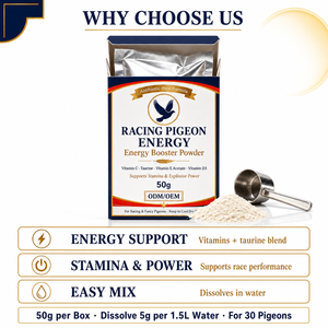 Suplemento Energético en Polvo para Palomas de Competición, para Mejorar la Resistencia Pre-competición <span class=keywords><strong>y</strong></span> la Recuperación de Electrolitos, 50g en Stock - Product Image 4