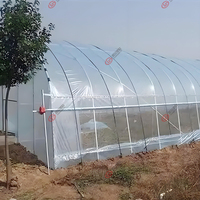 Film de serre en plastique renforcé pour l'agriculture, film de serre en PE LDPE, invernadero
