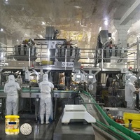 Ligne de production automatique complète d'ail comprenant des machines de nettoyage, de brisage, de pelage, de tri et de transformation de l'ail
