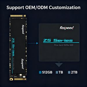 Faspeed быстрая и стабильная внутренняя серия M.<span class=keywords><strong>2</strong></span> SSD ZS830-PCIe 3,0 X4 NVMe 1,4 3D NAND TLC 5-годичная гарантия на индивидуальный логотип принимается - Product Image 6