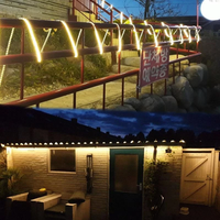 Guirlandes lumineuses en cuivre, prise EU 220V, 8mm, IP67, haute luminosité, étanches, télécommandées, à intensité variable, pour éclairage de chambre, de salon et de cuisine