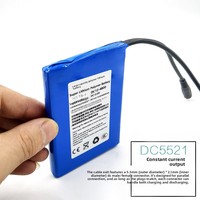 Batterie au lithium fine haute capacité 12V Deyi'an, batterie externe portable avec affichage de la puissance, adaptée aux enceintes d'extérieur, à la surveillance et aux LED