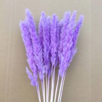 Bunga kering DIY dengan alang-alang bahan multiwarna dalam persediaan grosir dengan harga murah