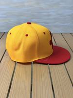 Gorra Snapback Deportiva Unisex con Logotipo Personalizado, Diseño de Leopardo, Bicolor Negro y Amarillo, Precio de Fábrica al por Mayor, Estructurada de 6 Paneles, Estilo Hip Hop y Béisbol
