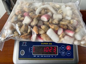 Surtido de mariscos <span class=keywords><strong>congelados</strong></span> al por mayor que incluye tentáculo de calamar y carne de mejillón Surimi palitos envasados a granel - Product Image 6