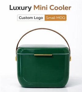 Nouvelle conception, couleur vive, glacière thermique <span class=keywords><strong>de</strong></span> luxe 6L avec bandoulière, boîte <span class=keywords><strong>de</strong></span> rangement pour bouteilles <span class=keywords><strong>de</strong></span> vin et boissons hautes - Product Image 2