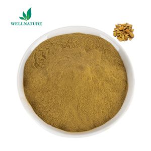 Resveratrol bột số lượng lớn tự nhiên polygonum <span class=keywords><strong>cuspidatum</strong></span> chiết xuất từ rễ 98% Resveratrol - Product Image 3