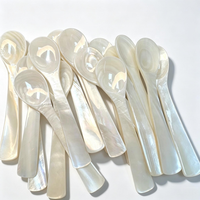 Cuillère personnalisée de luxe en nacre |   Cuillère à caviar en coquille polie miroir |   Pour restaurant, hôtel, mariage, café, dessert, café