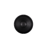 DASN SCW15405 15 pouces, 600W, 8ohm, caissons de basses de haute qualité, Audio, haut-parleurs PA professionnels, haut-parleurs en Ferrite