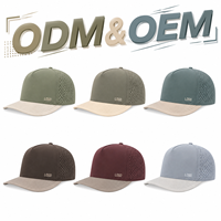 Casquette de performance bicolore perforée au laser à séchage rapide, logo brodé personnalisé, OEM ODM, vente en gros, pour activités de plein air, golf, baseball