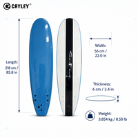 Planche de surf longboard personnalisée OEM ODM, surface XPE, noyau EPS, fond HDPE, logo, couleur et taille personnalisés pour les sports nautiques de plage