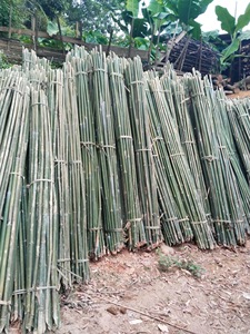 Piquets en bambou agricoles de haute qualité pour le soutien des vignobles, cannes de jardin naturelles écologiques, bâtons de soutien pour plantes, en vrac - Product Image 4