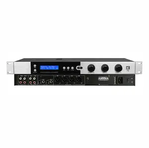 Altoparlanti amp processore audio attrezzatura professionale processore audio Karaoke mixer de audio sound effect machines