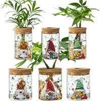 Vases de propagation en verre vides 8,5 cm x 10 cm pour boutures de plantes, pour la maison, le bureau ou comme cadeau de pendaison de crémaillère