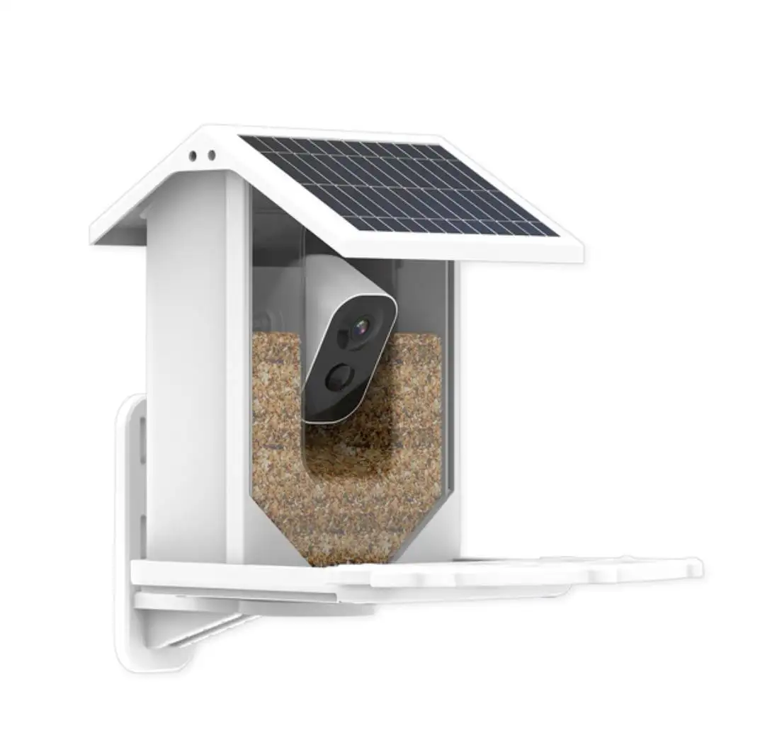 Wholesale Outdoor Wildlife Wifi Camera Capture Pictures Video AI Recognize Bird Specie Smart Bird Feeder with camera for Garden