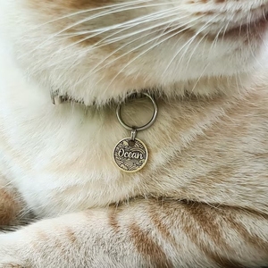 Conception personnalisée laiton métal gravé <span class=keywords><strong>nom</strong></span> logo personnalisé pendentif chien <span class=keywords><strong>chat</strong></span> étiquettes d'identification pour animaux <span class=keywords><strong>de</strong></span> compagnie - Product Image 6
