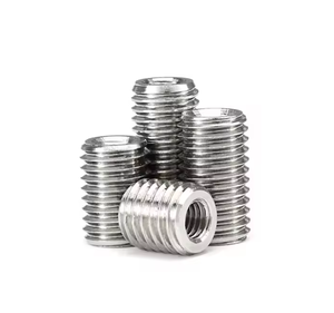 Высокое качество отверстие из нержавеющей стали внутренняя внешняя Резьбовая втулка/прокладка DIN916 полый винт с гальванизированной отделкой коробка упаковка - Product Image 3