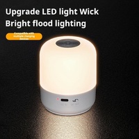 Lampe de table LED rechargeable portable Mini lampe de chevet tactile sans fil de mieux dort pour la chambre et le camping Cadeaux pour enfants