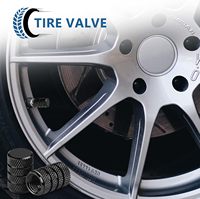 Cache-valve de roue pour pneus, capuchons d'air pour voitures, accessoires automobiles pour BMW, Audi, Mercedes, Lexus, Toyota, VW, Land Rover, Honda, Nissan – Style et personnalisation