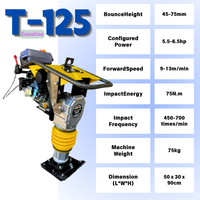 Pilonneuse de Trench Durable, Vitesse 9-13m/min, Poids 75kg, Entretien Facile, Compactage de Remplissage, Pilonneuse de Sol de Qualité Commerciale