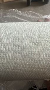 Tissu renforcé en <span class=keywords><strong>fibre</strong></span> <span class=keywords><strong>de</strong></span> <span class=keywords><strong>verre</strong></span> pour le bas <span class=keywords><strong>de</strong></span> mur, prévention des fissures dans la rénovation <span class=keywords><strong>de</strong></span> maisons modernes/minimalistes - Product Image 3