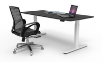 Mobilier de bureau moderne pour la maison bureau élévateur électrique à ossature métallique bureau d'ordinateur à réglage de la hauteur avec double moteur