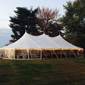 Carpa para eventos al aire libre, carpa para fiestas, carpa extensible para eventos, carpa para bodas con capacidad para 100 personas - Product Image 4