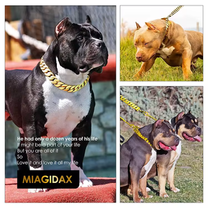 Guinzaglio per Cani Pitbull Personalizzato in Pelle Resistente con Dettagli in Oro 18K e Acciaio Inossidabile 32MM - Product Image 2