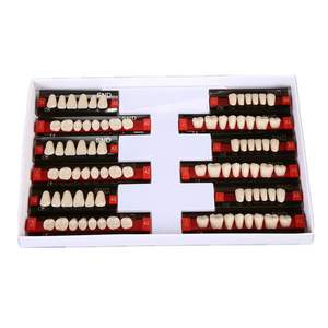 Denti in Resina Acrilica Multistrato a Prezzo di Fabbrica per Uso in Laboratorio Dentistico Denti in Plastica per Arcata Completa - Product Image 5