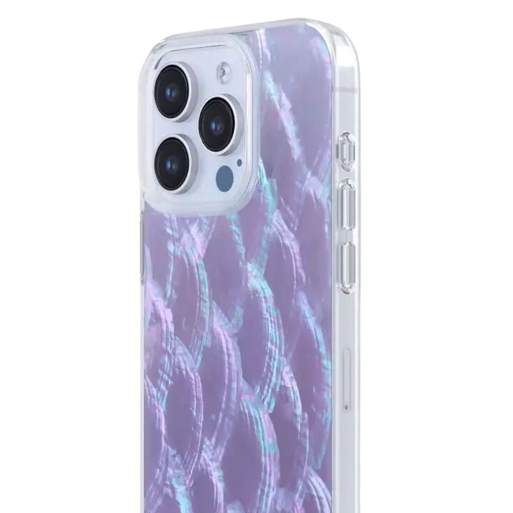 หอยเชลล์สีม่วง