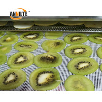 Voedselveilige polyester gaas transportband voor voedselverwerking, groente- en fruitwassing, FDA goedgekeurd, ademend ontwerp met drainage.