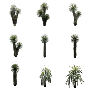 Planta Artificial Verde, Bonsái, Árbol de Sangre de Dragón, 2 m de Altura, Simulación de PET+PVC, Decoración para Interiores y Exteriores, Hogar y Oficina - Product Image 2