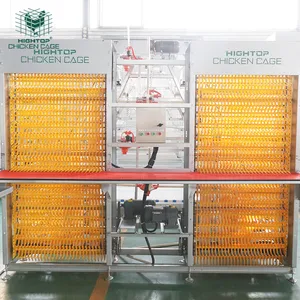 פתוח מערכת מגולוון מסגרת 4 Tiers ביצת הנחת סוללה שכבה אוטומטי עוף כלובי בפיליפינים