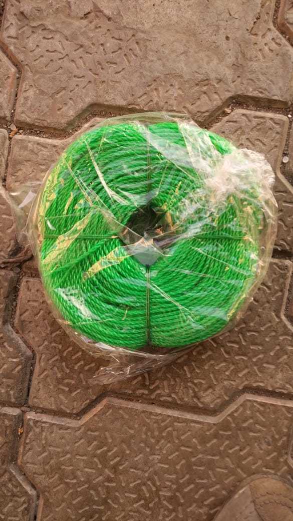 Vert