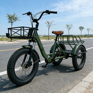 Triciclo Elettrico Domestico a Doppio Uso con Pneumatici Larghi, <span class=keywords><strong>Bicicletta</strong></span> da Carico a Tre Ruote, Batteria al Litio 250W 36V, Freno a Disco, Cesto Grande - Product Image 6