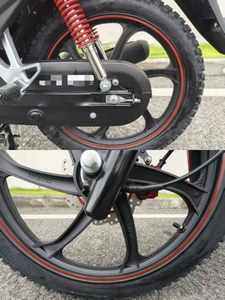Une moto légère et à faible cylindrée de 125 cm³, très populaire en Amérique du Sud et au Moyen-Orient. - Product Image 6