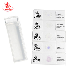 Cinco tipos de coxoides: comprensión preliminar de la morfología en la escuela de medicina; observación clara de bacterias microbianas - Product Image 3