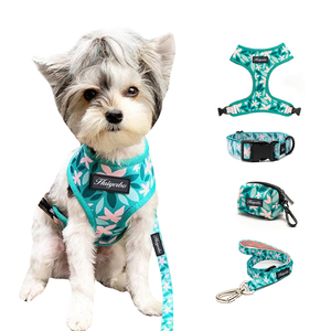 ชุดสายจูงสุนัขแบบปรับได้พร้อมแผ่นรองรับ ลายพิมพ์ดอ<span class=keywords><strong>ก</strong></span>ไม้ Sassy Woof วัสดุนีโอพรีน พร้อมโลโ<span class=keywords><strong>ก</strong></span>้<span class=keywords><strong>ลูก</strong></span>สุนัข สายจูงสุนัขแบบไม่รัดคอ - Product Image 3