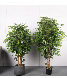QiHao-Planta Artificial <span class=keywords><strong>Ficus</strong></span> Microcarpa Banyan, árbol bonsái, tamaño personalizado para decoración de interiores - Product Image 6