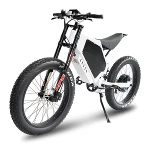 नई आगमन इलेक्ट्रिक स्कूटर हल्क गर्म बिक्री ईईसी/COC Citycoco 3000W बिजली की मोटर साइकिल