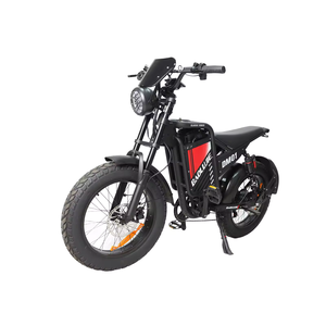 Bicicleta de Montaña/Motocross para Adultos, Stock en Almacén de EE. UU., Motor sin Escobillas de 48V 1000W, Alta Velocidad 55KM/H, Cuadro Anticaída, 7 Velocidades, DM-2001 1000W - Product Image 4