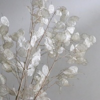 Buket Bunga Kering Alami Grosir Diawetkan Bunga Kering Asli Lunaria Annua