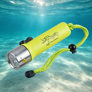 IP68 attrezzatura subacquea di alta qualità a LED subacquea 30m luce sottomarina - Product Image 1