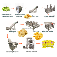 500 kg/u 1000 kg/u volledig automatische weegbree-chips Friden kruidenverwerkingsmachine Bananenchips productielijn