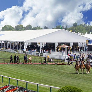 Tente de réception de luxe en PVC pour événements, mariages, cérémonies, <span class=keywords><strong>barnum</strong></span>, 15x20m, pour 300, 500, 1000 personnes, tente pour 1000 personnes - Product Image 6