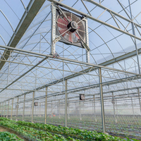 Moderne Venlo Polycarbonaat Glas Landbouw Kas Multi-Span Commerciële Pc Sheet Kassen Leveren Groen Huis Algemeen Systeem