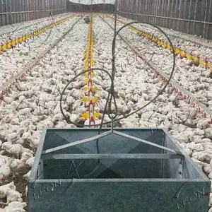 En kaliteli Modern tasarım otomatik Broiler tavuk çiftliği döşeme ekipmanları için kanatlı
