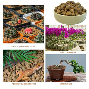 Vente Flash : <span class=keywords><strong>Substrat</strong></span> <span class=keywords><strong>Akadama</strong></span>, <span class=keywords><strong>Akadama</strong></span> dur, Terres pour Bonsaï Japonais - Product Image 6