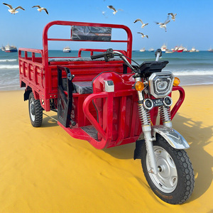 <span class=keywords><strong>Tricycle</strong></span> électrique <span class=keywords><strong>vintage</strong></span> personnalisable en usine, grande puissance et charge maximale - Product Image 3