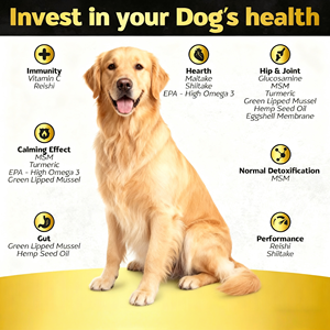 Suplemento para Cadera y Articulaciones para Perros de Marca Privada OEM/ODM - Masticables Blandos Sin Granos de Rápida Absorción para Cadera y Articulaciones - Product Image 2